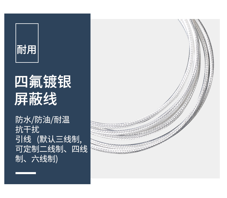 端面熱電阻6_http://www.huangmao888.com_溫度儀表_第11張